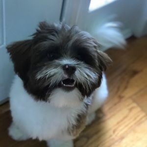 Meet your Posher, Ashlyn